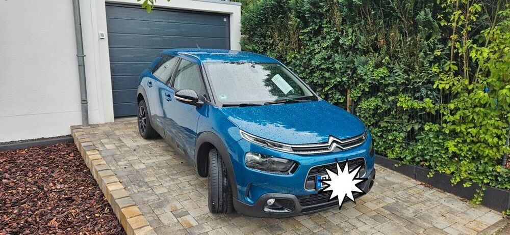 C4 Cactus