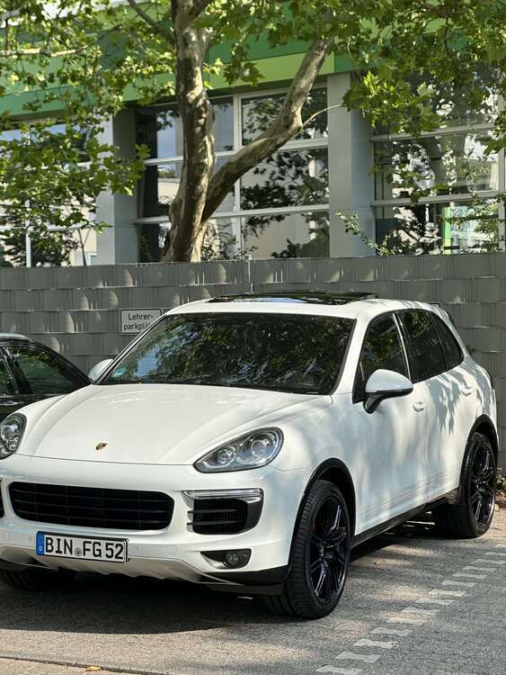 Cayenne
