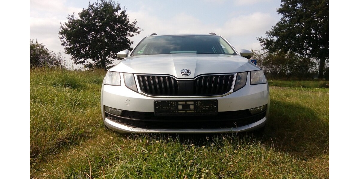 Skoda Octavia 240.420 km 8.300 &euro; Wrestedt 29559