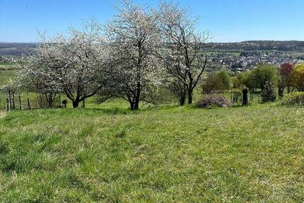 Grundstück Blieskastel Biesingen - 147.800&euro; | Angebot:26154364