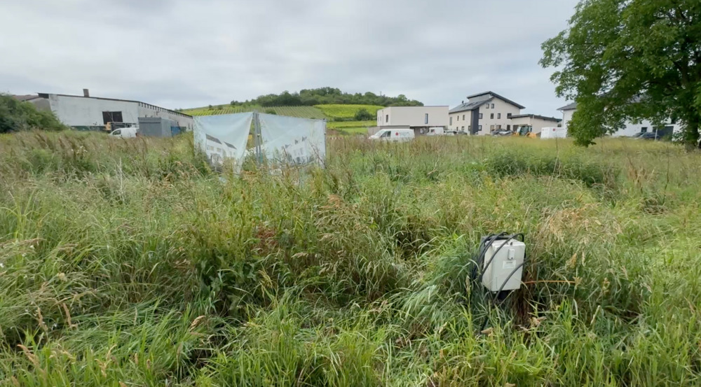 Ruhe & Natur erleben, wohnen zwischen Weinbergen: Letztes KfW-40-QNG-Einfamilienhaus in Bestlage von Stadecken-Elsheim · 141 m² · PV · Wärmepumpe · 2 5 zimmer