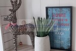 Bungalow mit großem Garten und Garage - provisionsfrei für Käufer - Reihenendhaus Gütersloh | Angebot:26184744
