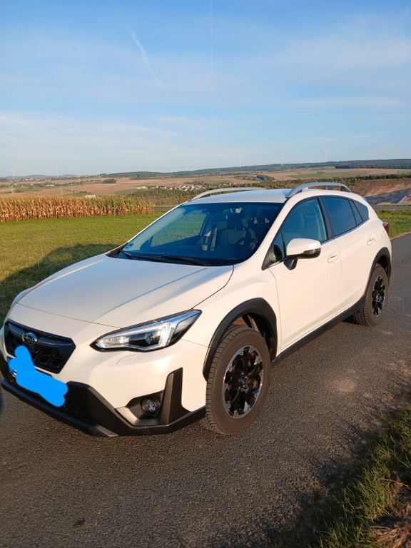 XV