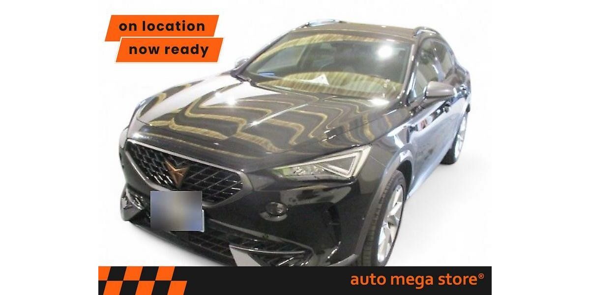 Cupra Formentor 59.716 km 22.999 &euro; Ergolding 84030