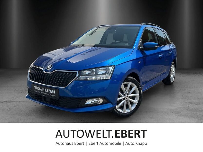 Skoda Fabia 54.500 km 15.890 € Heidelberg 69123