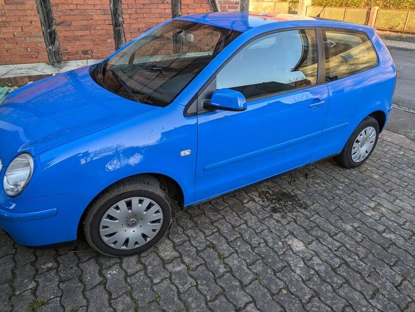 Polo
