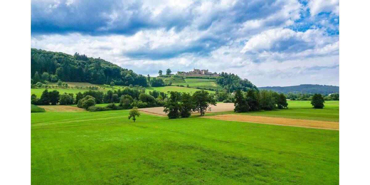 Großzügiges Baugrundstück mit Wiesengrundstücken und Wohnhaus in idylischer Lage von Sexau zimmer