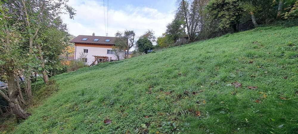 Grundstück zu verkaufen in Bad Wildbad 172.000 € 1643 m² zimmer