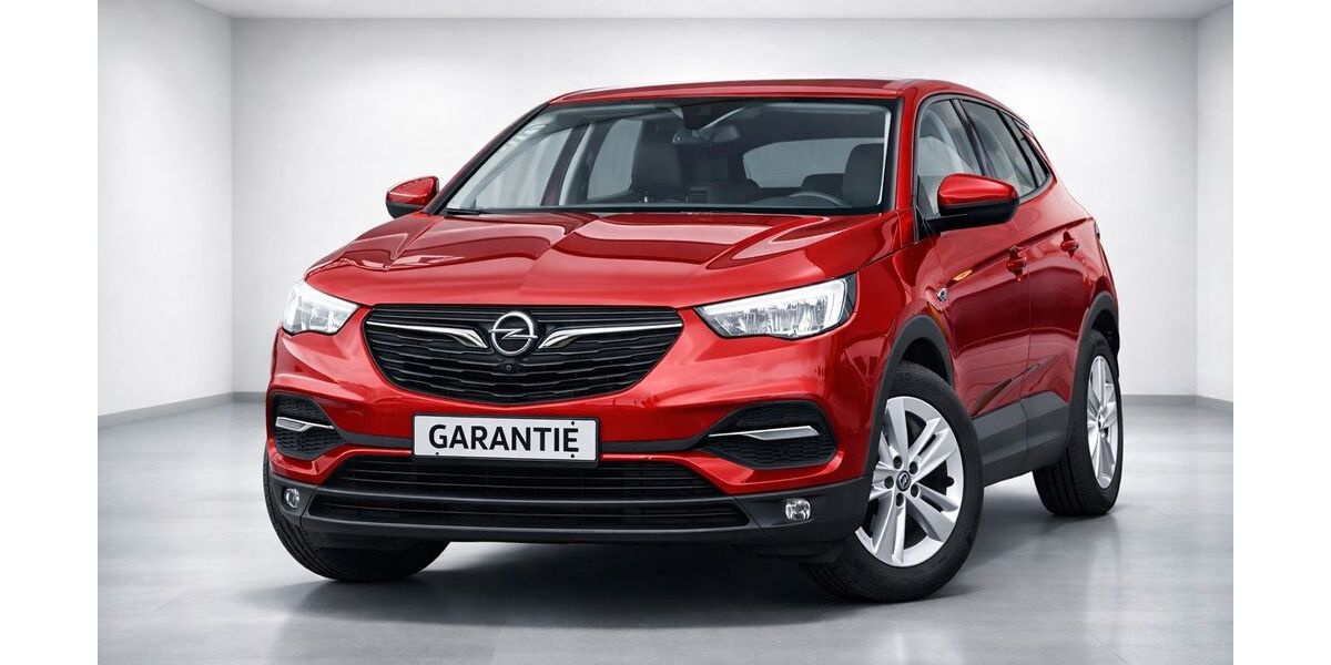 Opel Grandland (X) 159.200 km 14.699 &euro; Wallenhorst ( bei Osnabrück ) 49134