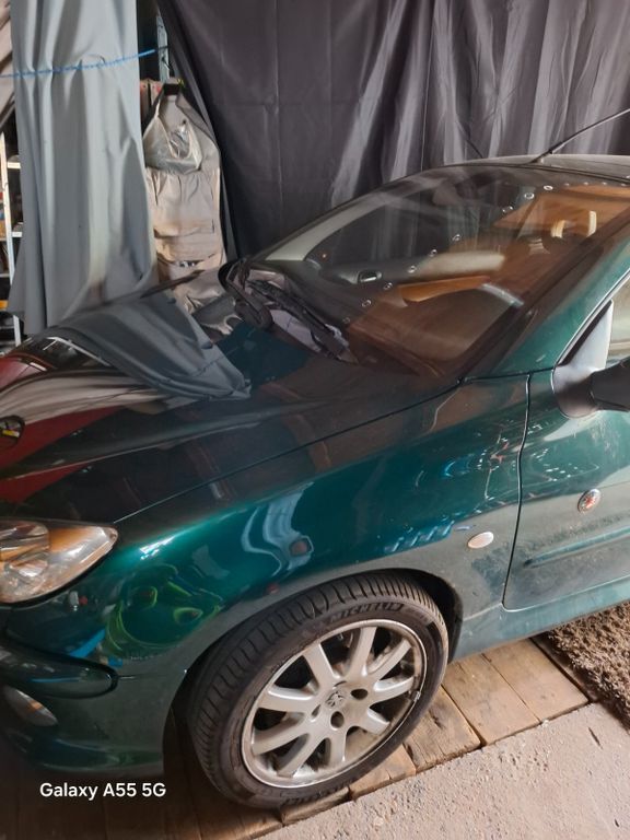 Peugeot 206 209.000 km 800 € GUNDHEIM 67599