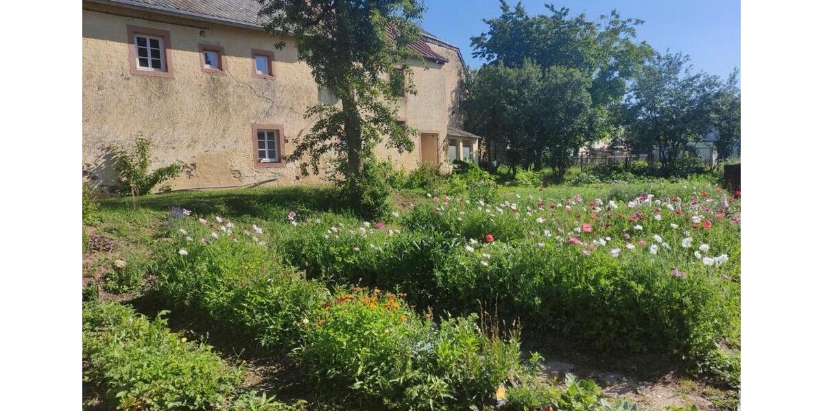 Bauernhaus, Landhaus Rittersdorf - 9 Zimmer, 149 m&sup2;, 980&euro; | Angebot:26088854