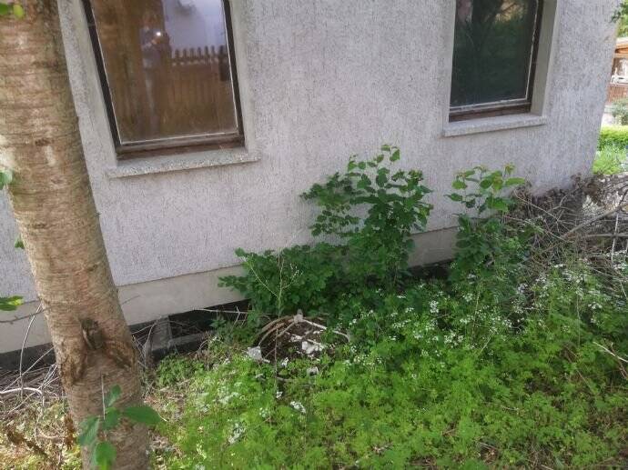 Doppelhaushälfte Gerstungen Sallmannshausen - 4 Zimmer, 39.000&euro; | Angebot:25735986