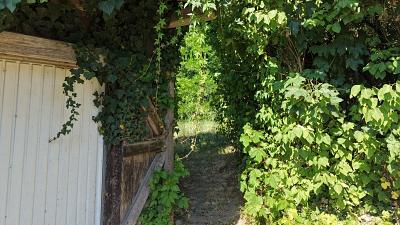 LEBENSQUALITÄT AM BODENSEE - Grundstück Öhningen | Angebot:26986605