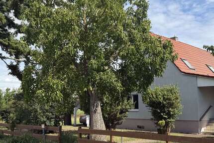 Haus Ketzin OT Zachow Zachow - 5 Zimmer, 129 m&sup2;, 450.000&euro; | Angebot:27119961