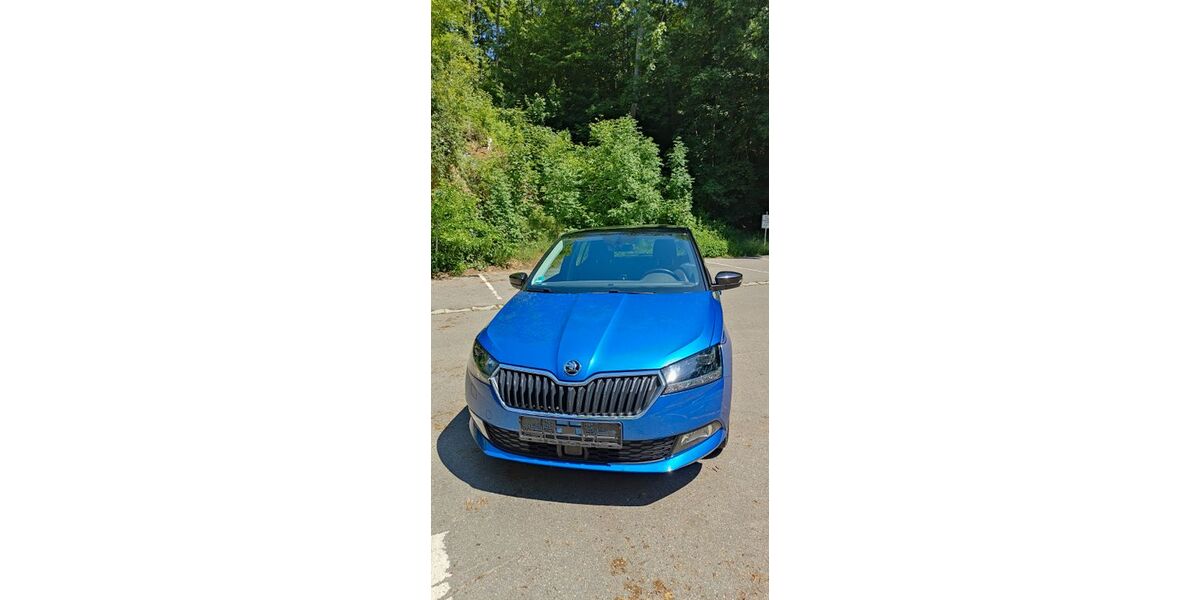 Skoda Fabia 93.300 km 10.100 &euro; Pfreimd 92536