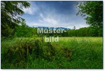 Grundstück zu verkaufen in Dernbach 190.000 € 21111 m² zimmer