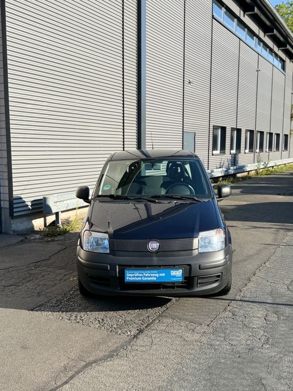 Panda