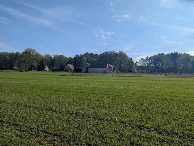 3-Seiten-Hof mit 1ha Land - Einfamilienhaus Hohendubrau OT Groß Saubernitz Groß Saubernitz | Angebot:26102669