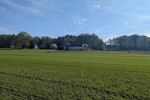 3-Seiten-Hof mit 1ha Land - Einfamilienhaus Hohendubrau OT Groß Saubernitz Groß Saubernitz | Angebot:26102669