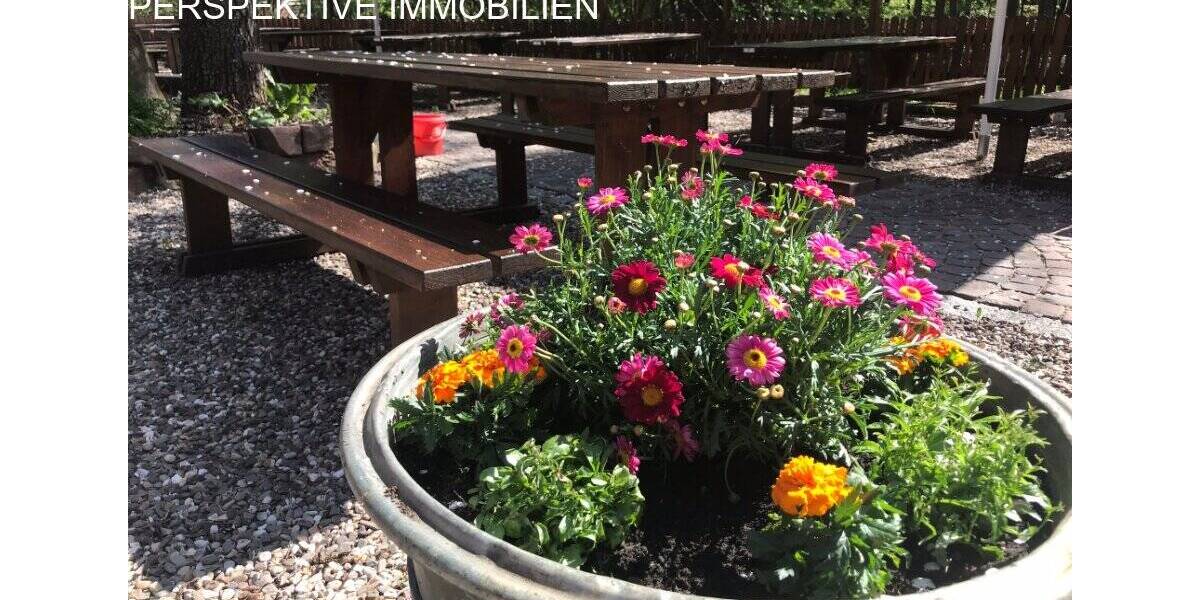 Gewerbeobjekt Michelstadt Steinbach - 934.000&euro; | Angebot:25743236