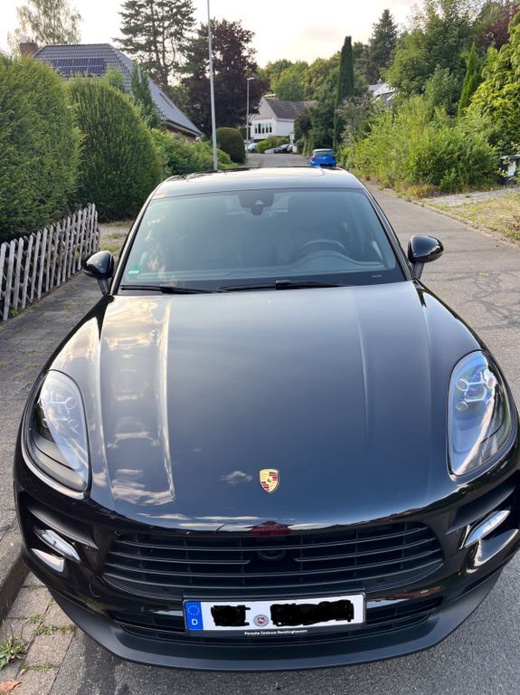 Macan