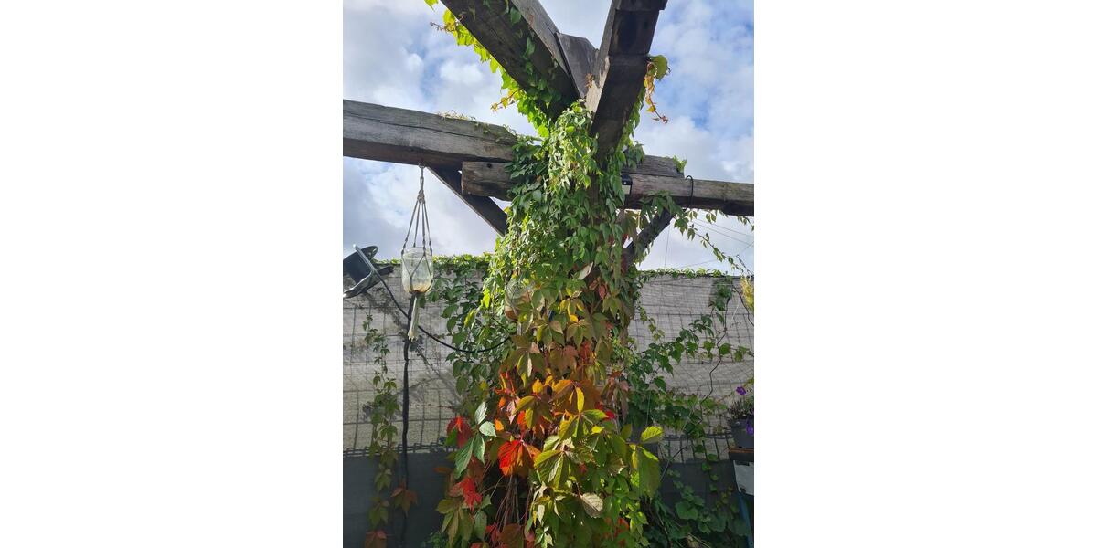 Gewerbeobjekt Greifswald Eldena - 8&euro; | Angebot:26134133