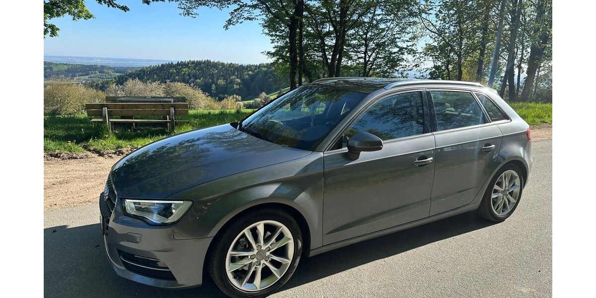 Audi A3 174.900 km 12.600 &euro; Ascha 94347