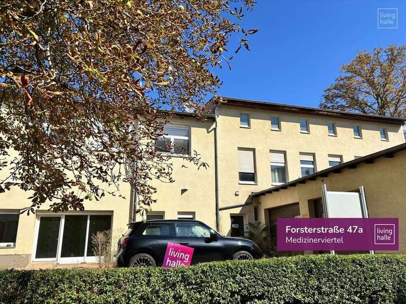 Büro in Halle (Saale) 1.000 € 358.82 m² zimmer