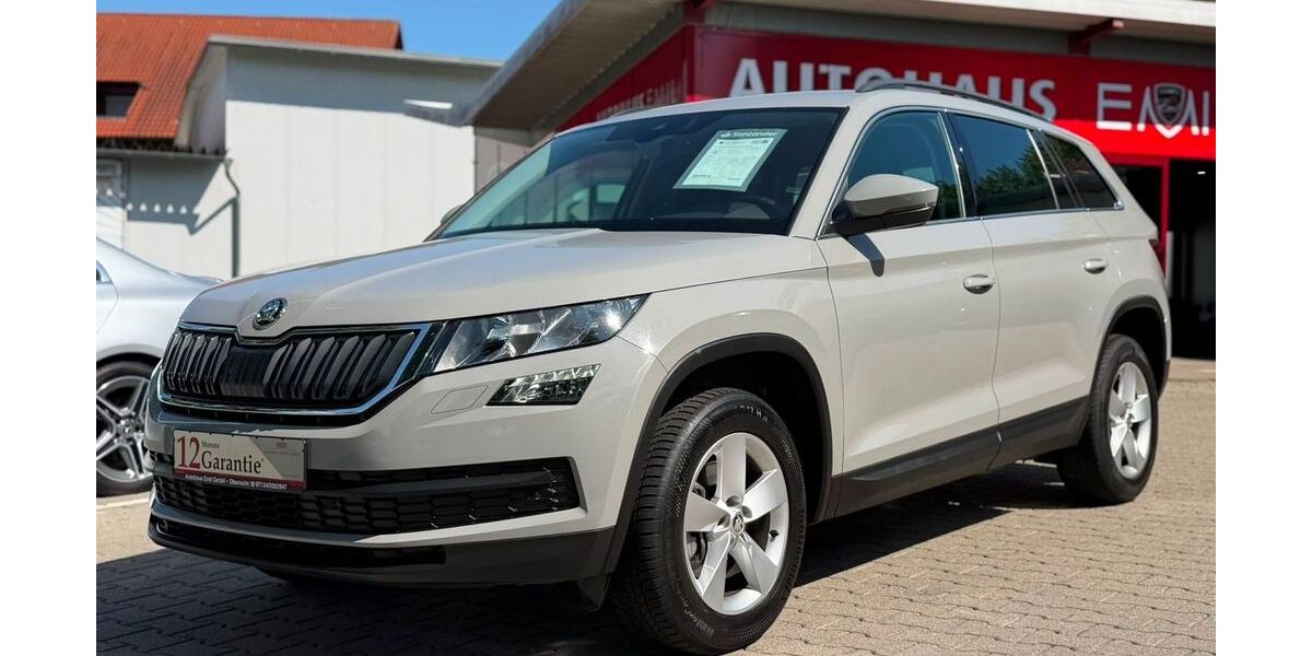 Skoda Kodiaq 138.184 km 22.990 &euro; Obersulm 74182