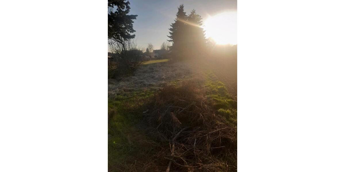 Grundstück Annaburg - 10&euro; | Angebot:21896645