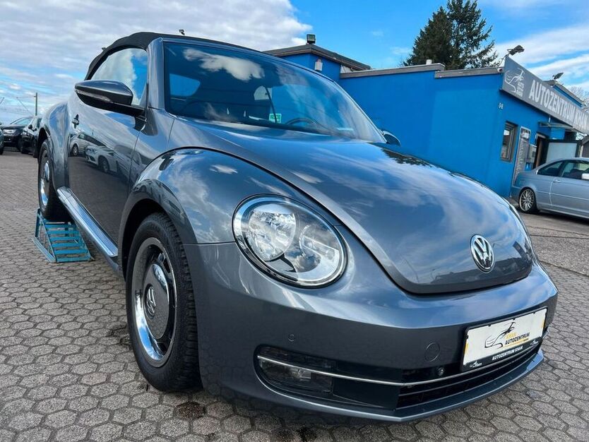 Beetle