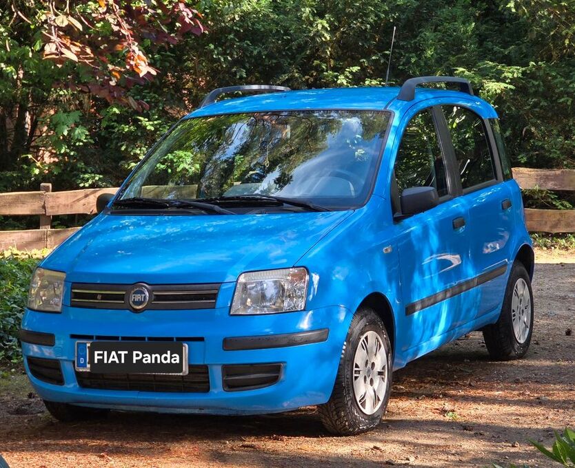 Panda