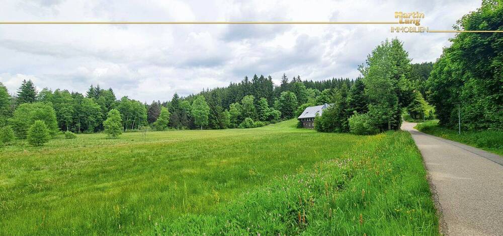 Mehrfamilienhaus, Wohnhaus Breitnau - 2 Zimmer, 352 m&sup2;, 499.000&euro; | Angebot:25776119