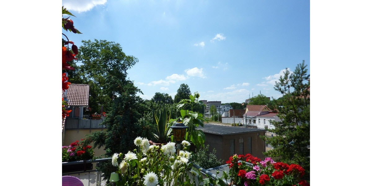 Der Sonne ein Stück näher - 2 Zimmer mit großer Dachterasse - Dachgeschoßwohnung Gotha Mohrenstraße - WE 11 | Angebot:26555000