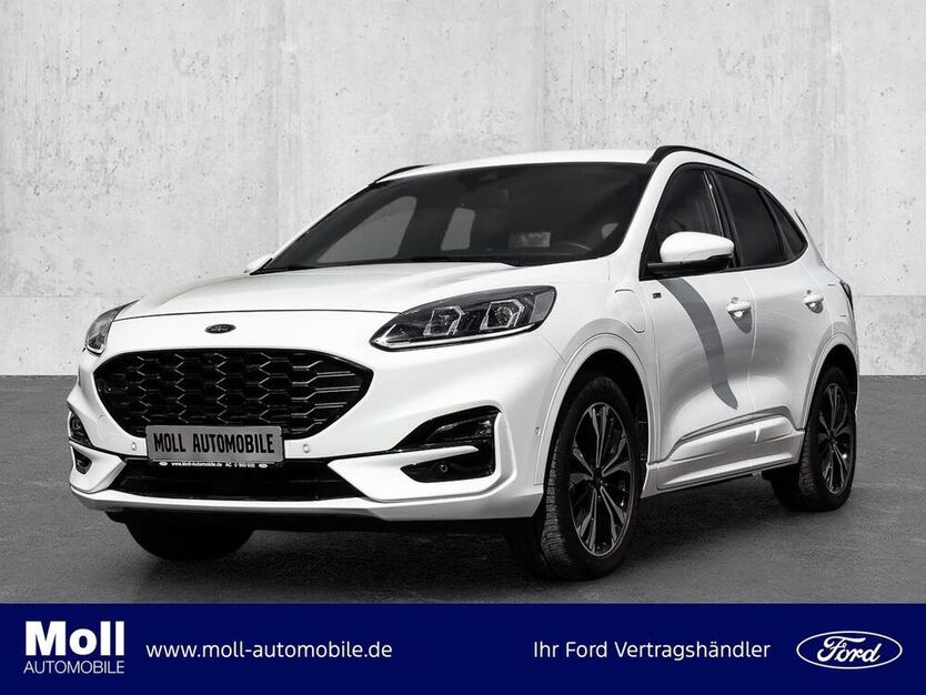 Kuga