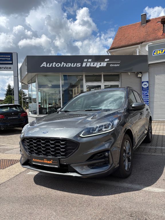 Kuga