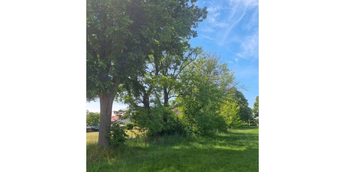 Grundstück Neißeaue OT Kaltwasser Kaltwasser - 31.500&euro; | Angebot:25681053