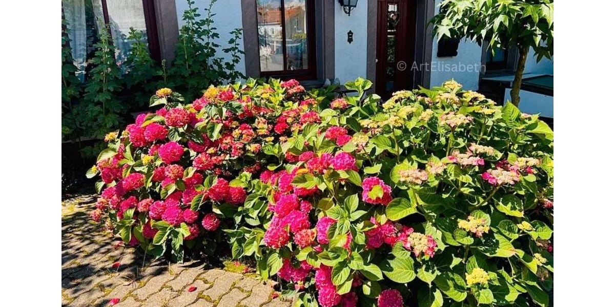 Einfamilienhaus Wallerfangen - 8 Zimmer, 248 m&sup2;, 348.000&euro; | Angebot:26429292