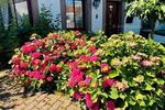 Einfamilienhaus Wallerfangen - 8 Zimmer, 248 m&sup2;, 348.000&euro; | Angebot:26429292