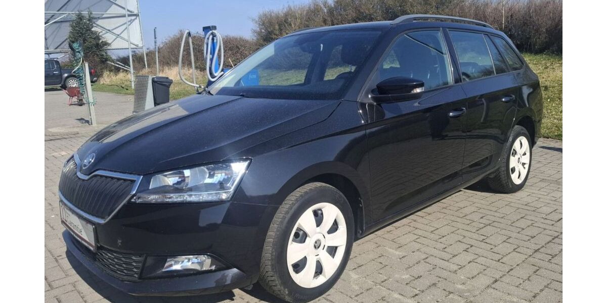 Skoda Fabia 49.234 km 13.780 &euro; Karlsburg OT Moeckow 17495