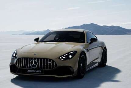 Mercedes-Benz AMG GT 3.019 km 109.990 &euro; Bünde 32257