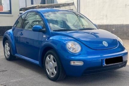 VW Beetle