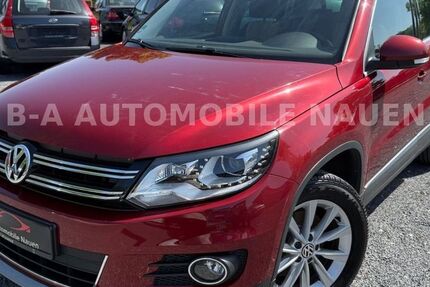 VW Tiguan 245.000 km 7.890 &euro; Nauen 14641