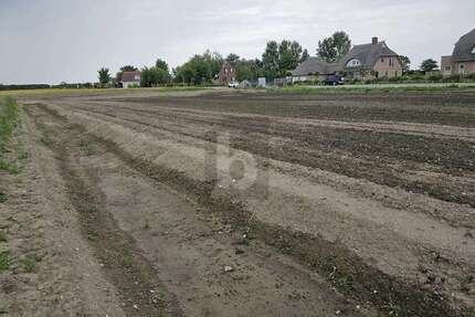 Grundstück Fehmarn - 219.000&euro; | Angebot:25549323