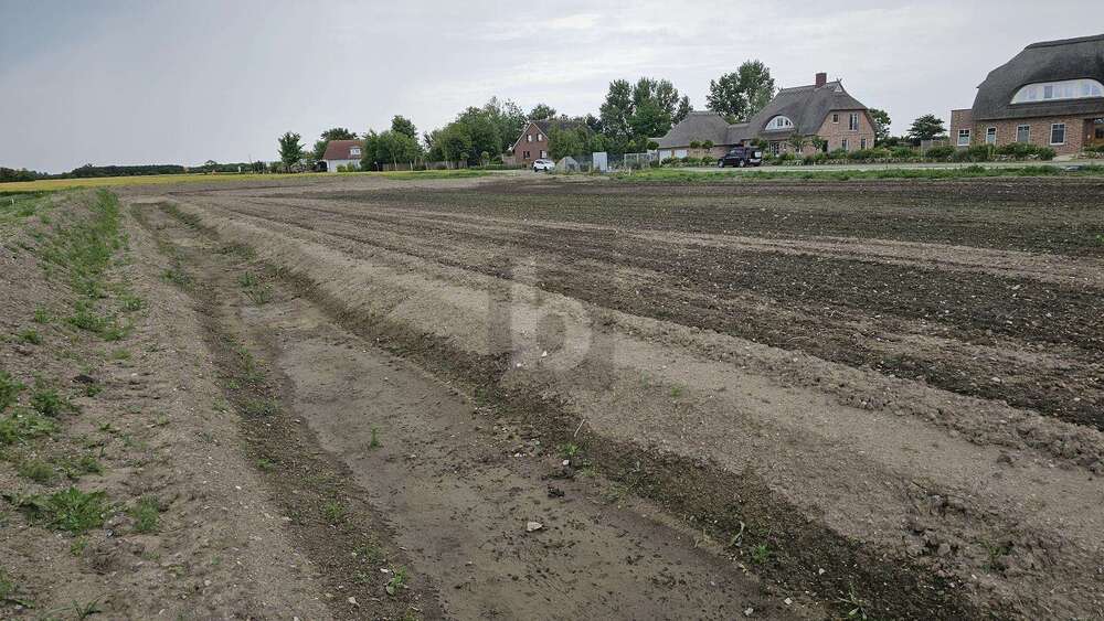 Grundstück Fehmarn - 219.000&euro; | Angebot:25549323