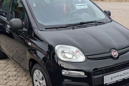 Fiat Panda 64.500 km 6.500 &euro; Schenkelberg 56244