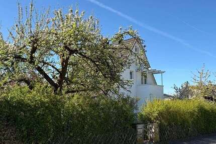 Haus Bad Pyrmont - 4 Zimmer, 134 m&sup2;, 359.000&euro; | Angebot:26584046