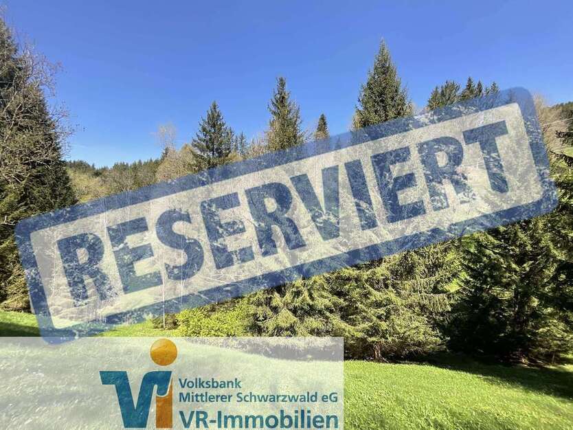 Grundstück in Triberg 195.000 € 160908 m²