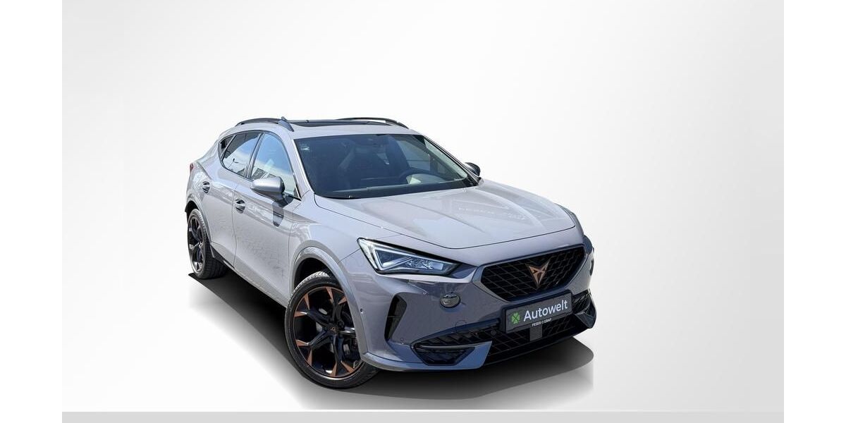 Cupra Formentor 95.300 km 23.480 &euro; Roth 91154