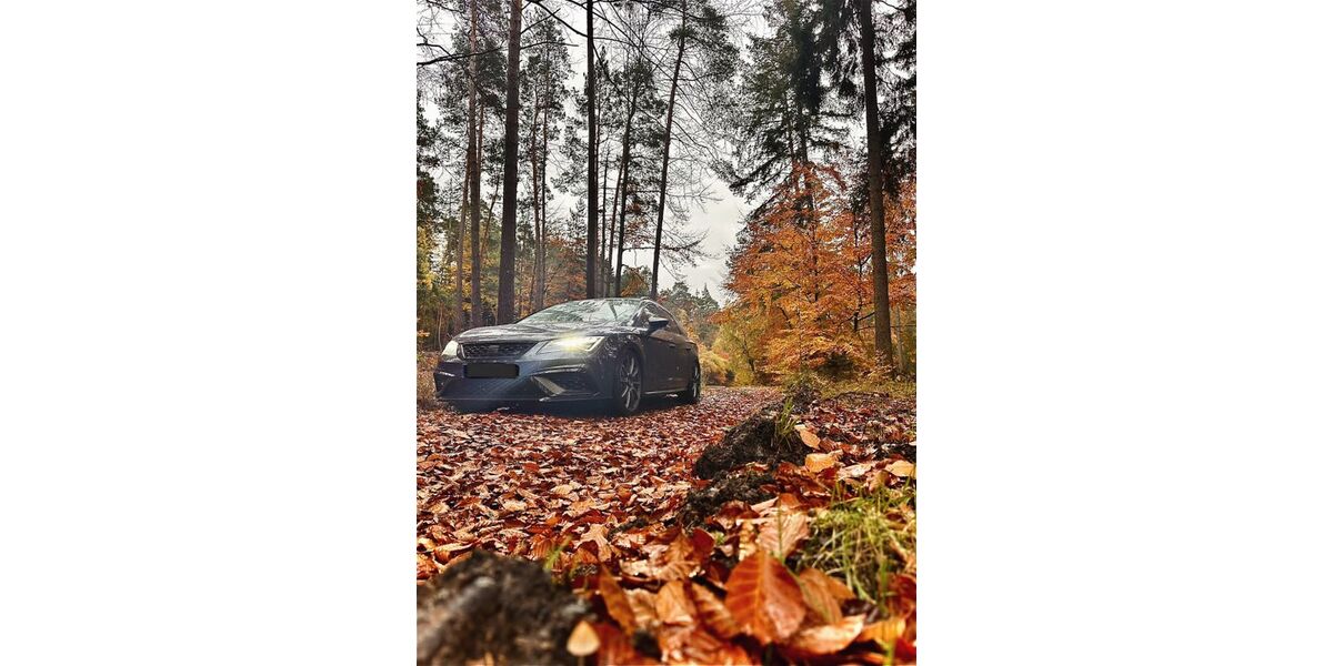 Seat Leon 125.000 km 27.400 &euro; Gladenbach 35075